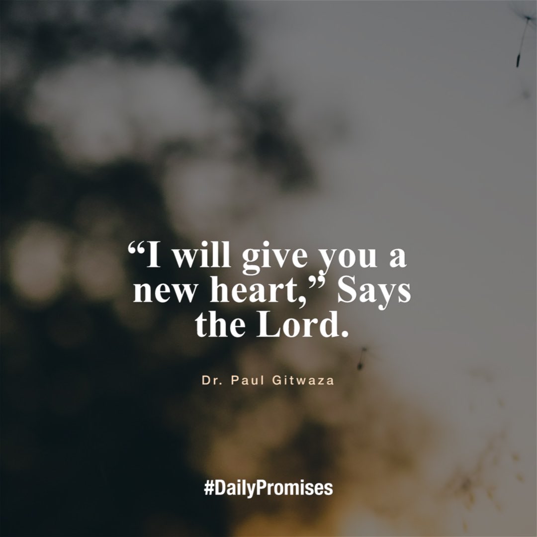 PaulGitwaza's tweet photo. βI will give you a new heart,β Says the Lord.
I will give you a new heart and put a new spirit within you; I will take the heart of stone out of your flesh and give you a heart of flesh. (Ezekiel 36:26)
#dailypromise #Covenantday #blessing https://t.co/RzXR4pvq6B