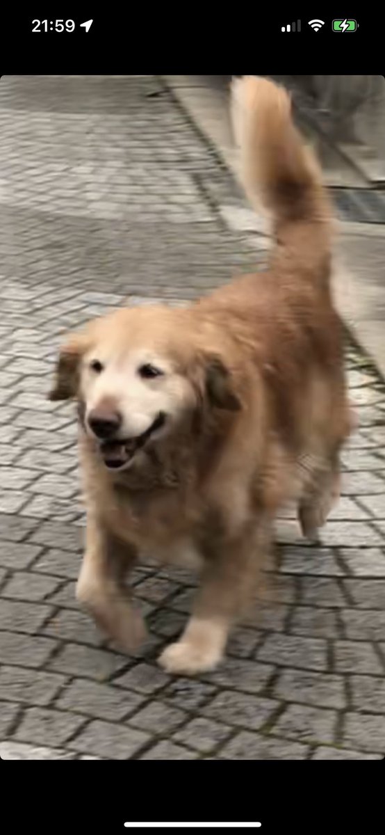 S.Toshihiro (@toshi9001) on Twitter photo 