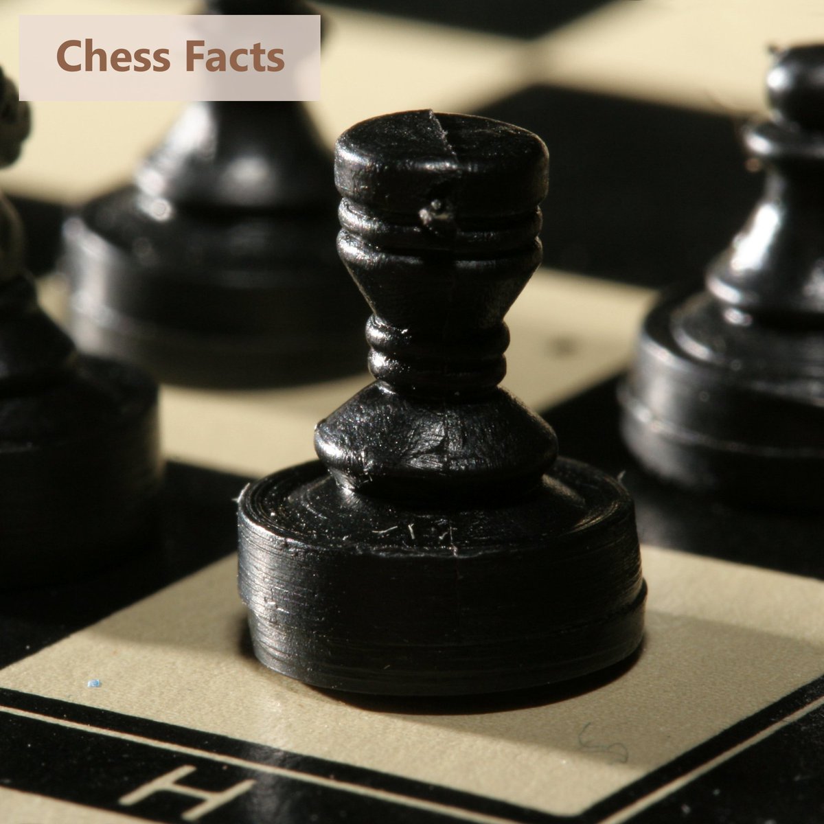 pawnsonchess's tweet photo. The longest game 🤔👉?

#chess #ajedrez #echecs #xadrez #scacchi #шахматы #fidechess #chessplayer #chesslovers #chesslover #chessmaster #chessgame #chessboard #chessset #chesssets #chessmoves #chesstactics #chesstactic #chesspuzzle #chessproblem… https://t.co/wnn8qzqMdg https://t.co/xMOIjmjbUb