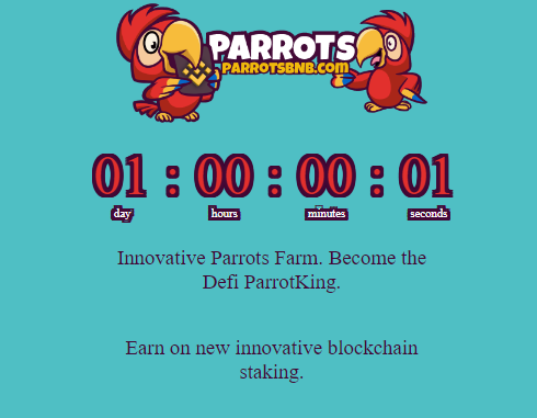 OfficialParrots's tweet photo. Hello, in exactly 24 hours, the new #Parrots🦜 project will be launched. You are ready? #BNB #BUSD #MATIC #AVAX #USDT #DOGE https://t.co/mb0NeaoXsC