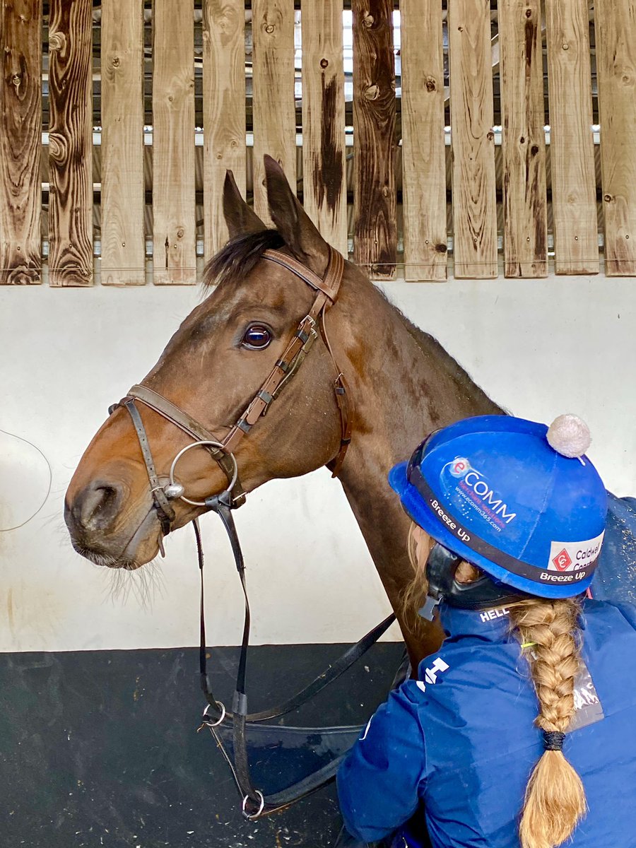 Dawnesme's tweet photo. When Bae is Bayπ
A lovely morning spent visiting our handsome syndicate horse @gelliott_racing ππ€π€ππΌ
#keepsmilingsyndicate https://t.co/VHlEutUeWq