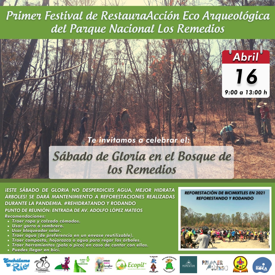 LAURABARRANCO's tweet photo. #SabadoDeGloria cambien la tradición, NO DESPERDICIEN AGUA, MEJOR HIDRATEN ÁRBOLES. Si pueden acompañarnos, si no apoyen a los que tengan a su alcance
"Primer Festival de RestaurAcción Eco-Arqueológica" del #ParqueNacionalLosRemedios
#BarrancaMexico68
#SalvemosElMazapán https://t.co/qo6A4Lv3qX