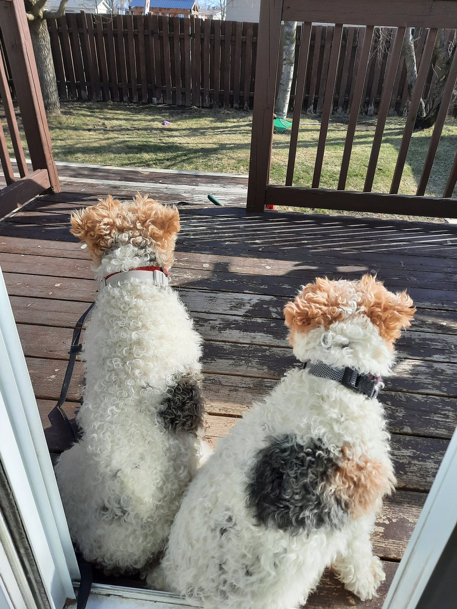 SWirefox's tweet image. Taking some.morning sun