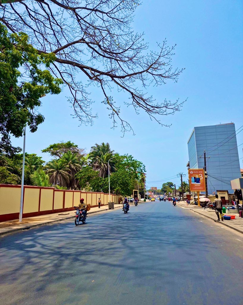 Made in Guinea tweet media