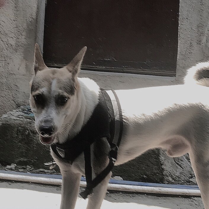 generosaaaa's tweet photo. yung baby ko ang laki na 🥺🫶🏻 apakapogiiii https://t.co/CAWJL9tuo5