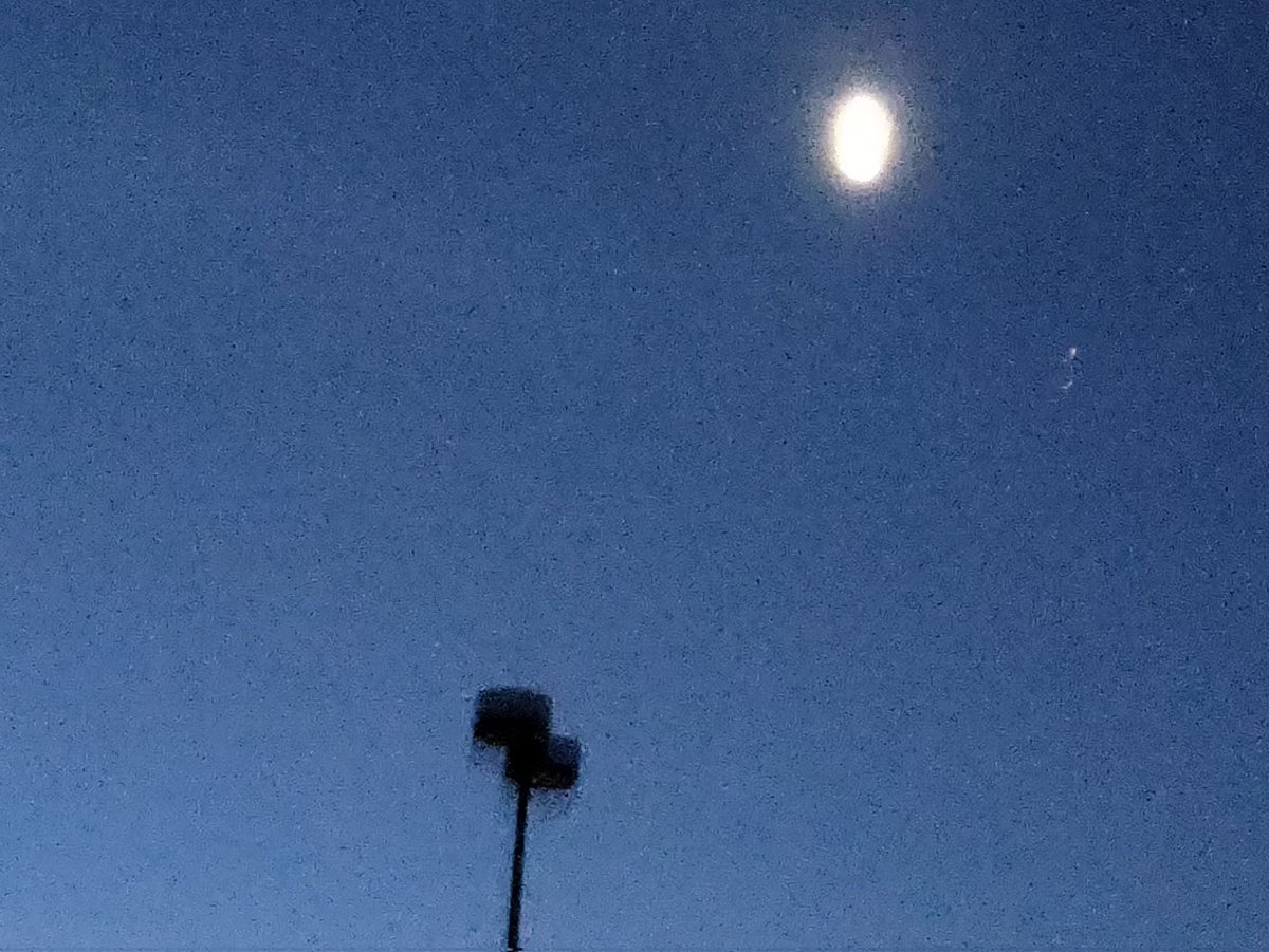 NinjaPsych.pro Brain Excellence Resources tweet media