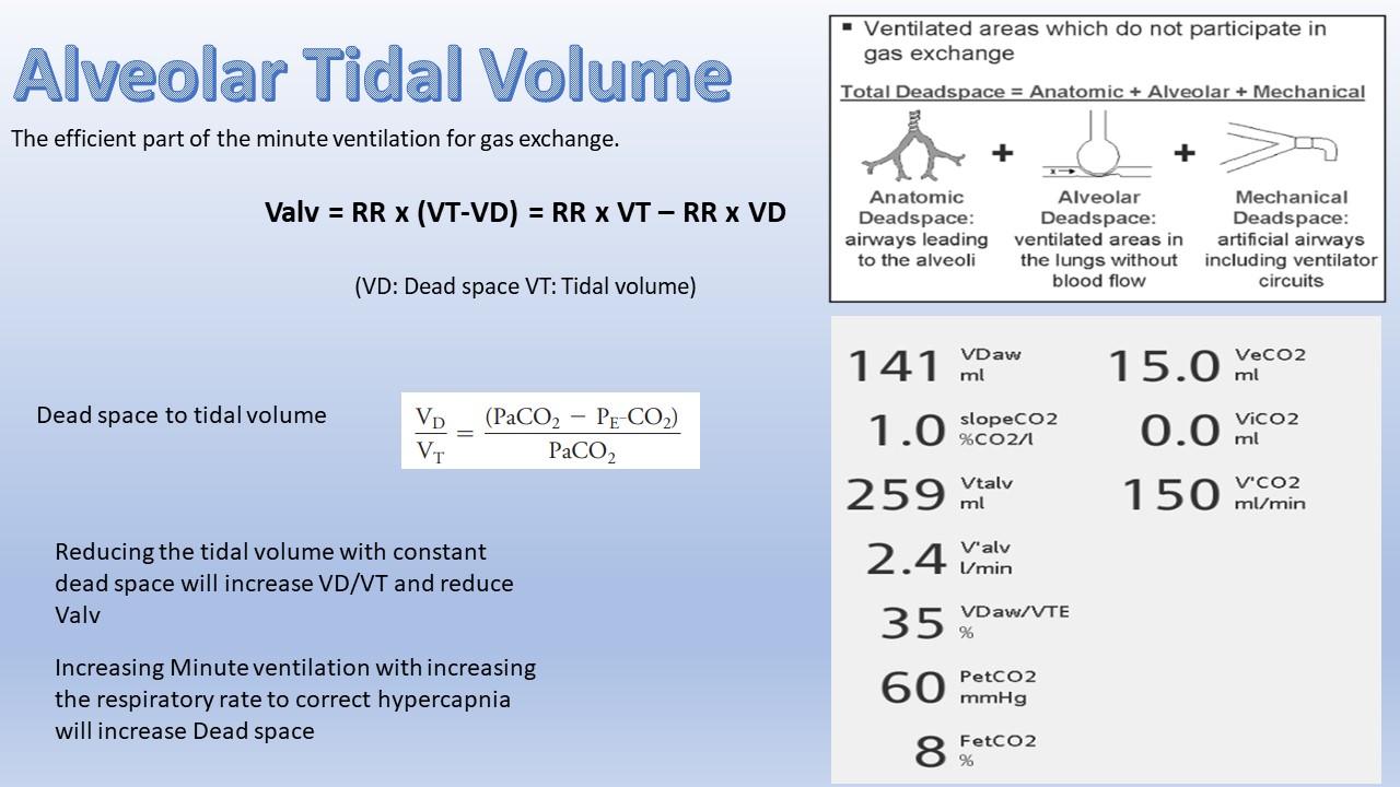 Society of Mechanical Ventilation on X: &ldquo;Alveolar tidal volume 