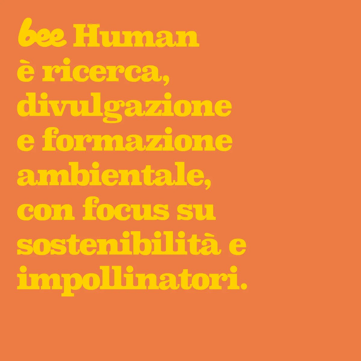 Bee Human 🐝 tweet media