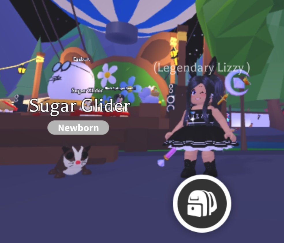 💎 Legendary Lizzy 💎 on Twitter " ️ Sugar Glider Giveaway ️ To Enter