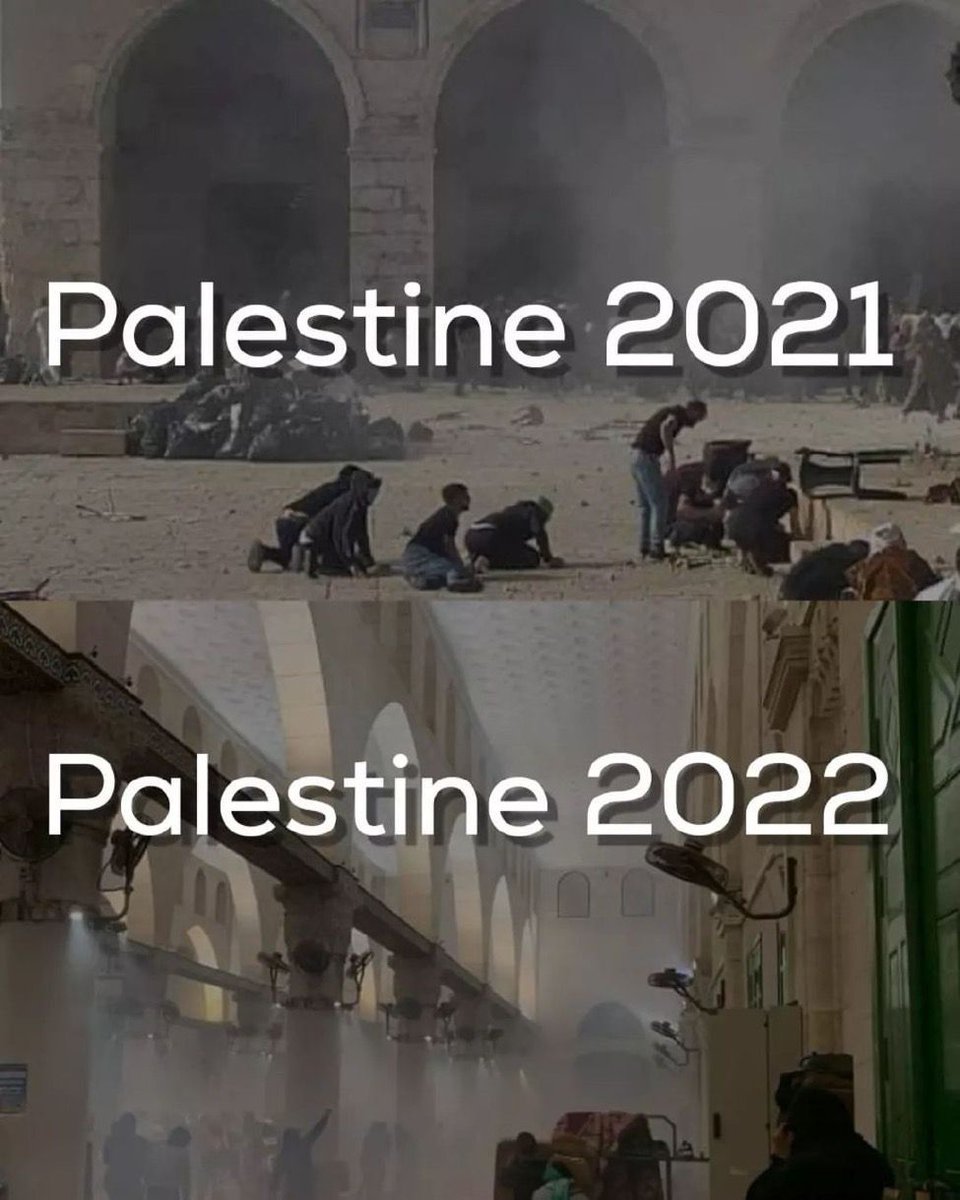 Despite everything, Good morning from the occupied #Palestine ✌️🇵🇸

 #FreePalestine #AlAqsaUnderAttack