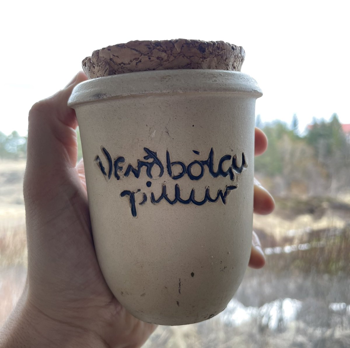 Dadi Kristjansson tweet media