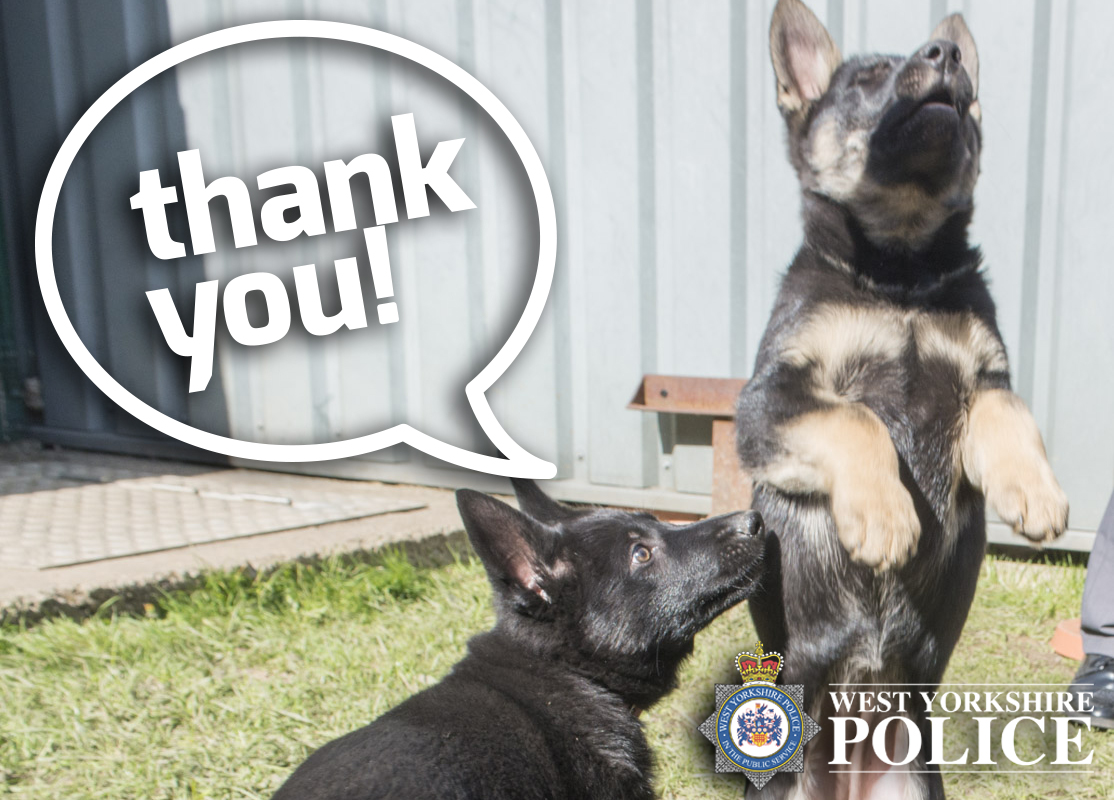 West Yorkshire Police on Twitter "Annika Foster has been found safe and well. Thanks for all