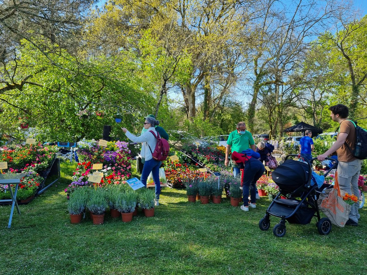 RaynalPessac's tweet photo. 🌺🌳 Les différents stands sont installés et prêts à vous accueillir tout le week-end ! Venez profiter des nombreuses animations proposées lors du Printemps de la #forêtdubourgailh !
#pessac https://t.co/MPmshUqu2i