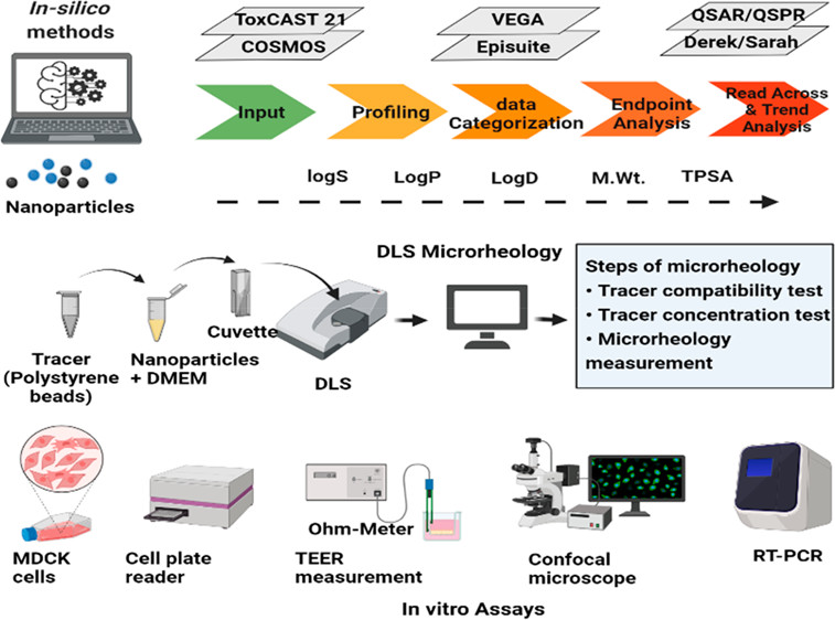 #Nanomaterials# Viscoelasticity # Biological Media
pubs.acs.org/doi/10.1021/ac…
