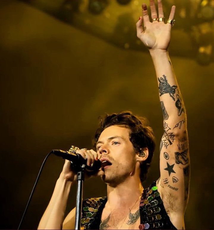 hottlouie's tweet photo. “ninguém é perfeito” meu amor??? vc já olhou bem para o harry styles? https://t.co/ANf06hAo75