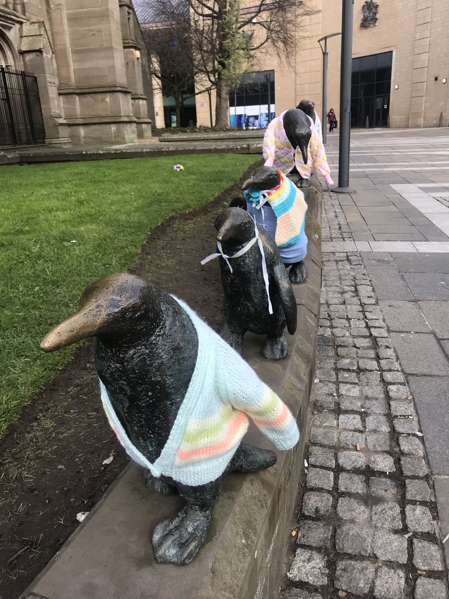 sarasheridan's tweet photo. Somebody has yarnbombed these penguins. 🐧🧶 https://t.co/UdjwA5Jmxx