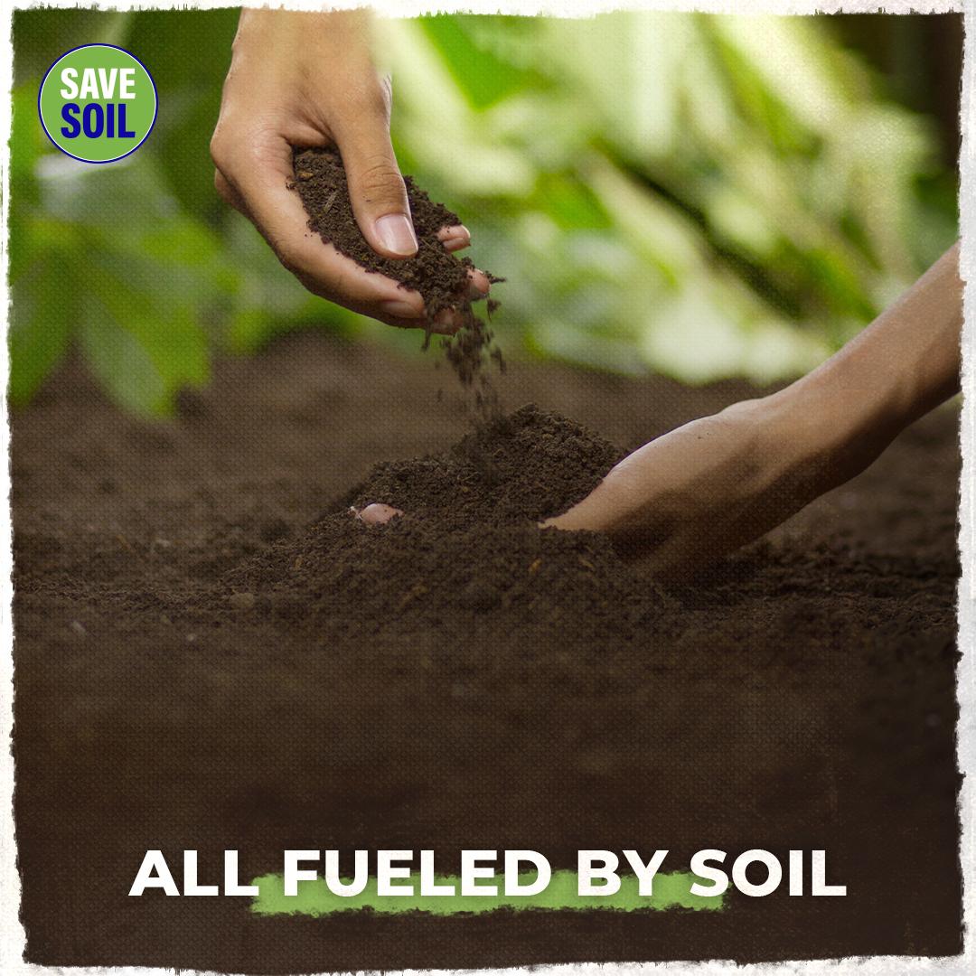 cpsavesoil's tweet photo. 87% of all the different varieties of flora and fauna, with their varied facets and qualities, that we see around us today is dependent on soil for sustenance. But soil is dying, making it critical for us to #SaveSoil.
Action Now: https://t.co/z6MmqMf5nE
#ConsciousPlanet https://t.co/FDqOeLhnz8