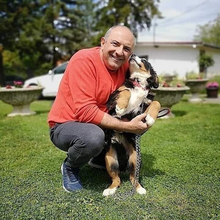 lambalada's tweet photo. @gagapatric @BrutalPaws Vlasnik . 🙂 Vasa je bio ukraden . Sada je kod kuće sa sestrom Hajdi   , vlasnikom  i njegovim unucima. https://t.co/VUameHaTqL