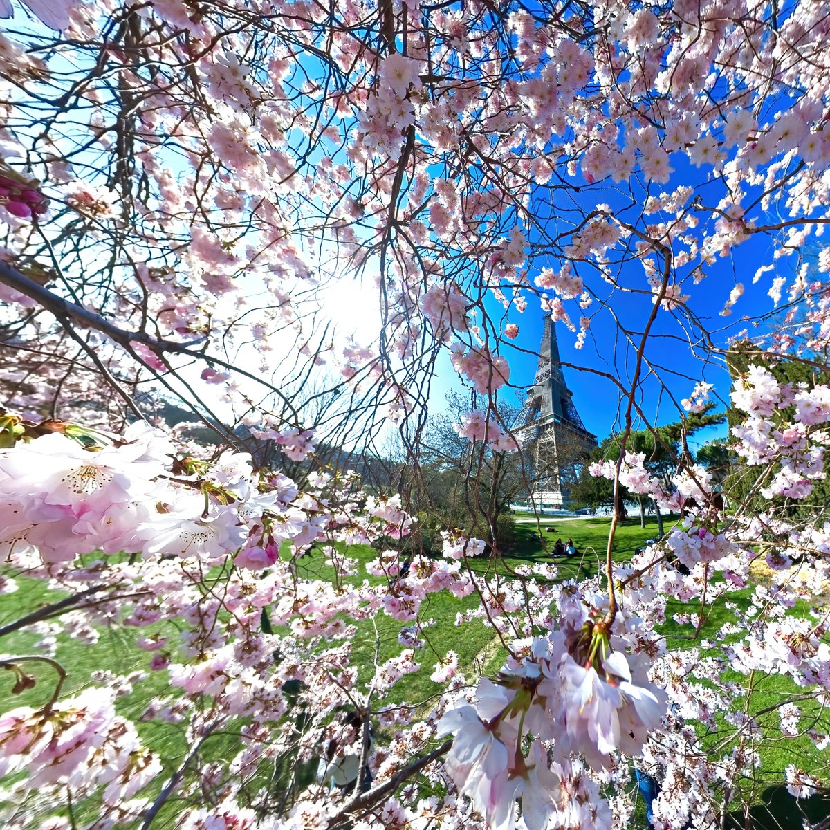 KandaoVR's tweet photo. Life is short, so enjoy this moment!
Author: Parisdise Photography
https://t.co/SxcvqSvBEX
Shot by: #Qoocam8K
Learn more:
https://t.co/Z8RyA845iw
#cherryblossom #spring #360camera #kandaovr #Kandaotech #qoocam8k #photography #shunshine #cherry #flowerlovers #eiffeltower https://t.co/ygl8HMbwGf