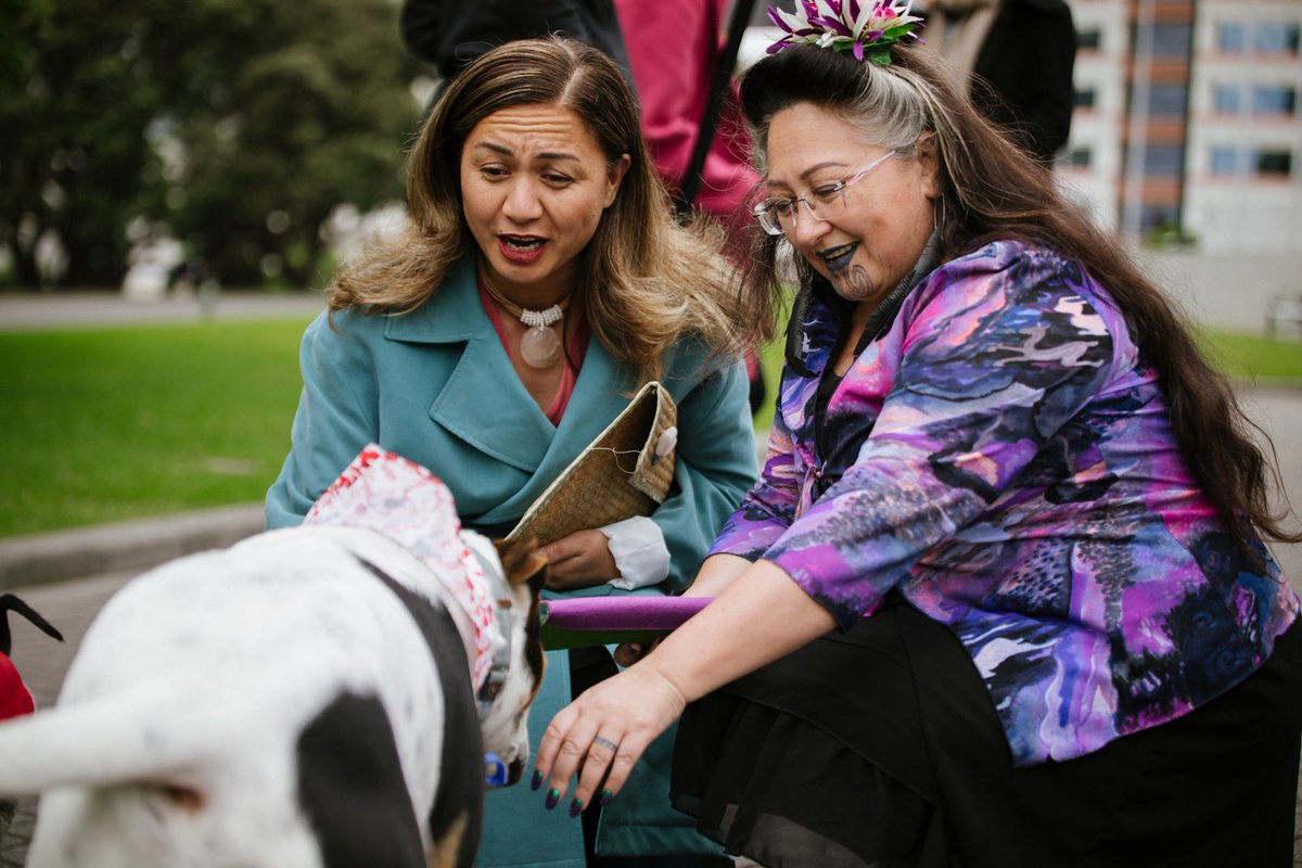 FionaBeals's tweet photo. @MaramaDavidson @CTrevettNZH One of Frankie's favorite pictures https://t.co/pfSW6j9X7K