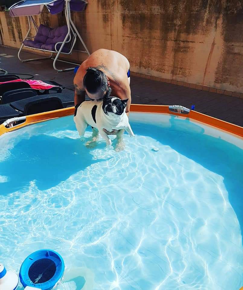 TominoGas tweet media