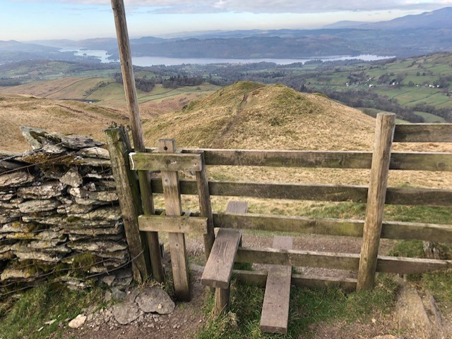 FredsBookshop's tweet photo. Looking down over #Windermere snaking into the distance from up #SourHows towards #Sallows
A wee gem of a #Stilewithaview
@LakesStiles https://t.co/QDgGrsHjLo