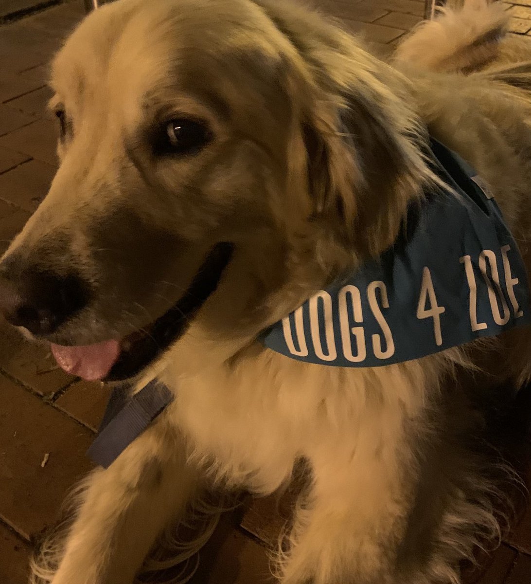 julian_keil's tweet photo. Itโs the end of a long day in #GoldsteinVotes.
I know of at least two guys with huge smiles (one is pictured below).
The momentum for change is real.
Bring on May 21.
#ZoeForGoldstein
#GoldsteinVotes
#Dogs4Zoe
#TealRockNation https://t.co/YGul8EyOOj