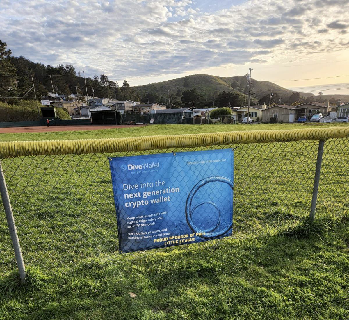 DiveWallet | Crypto Wallet tweet media