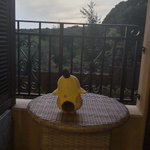 ツイートに含まれる画像