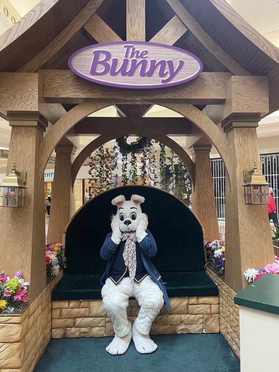 It’s the last day to come see Wendell the bunny, hop on over to Dillard’s Court before it’s too late! 🥕🐰 bit.ly/3KlJMwd