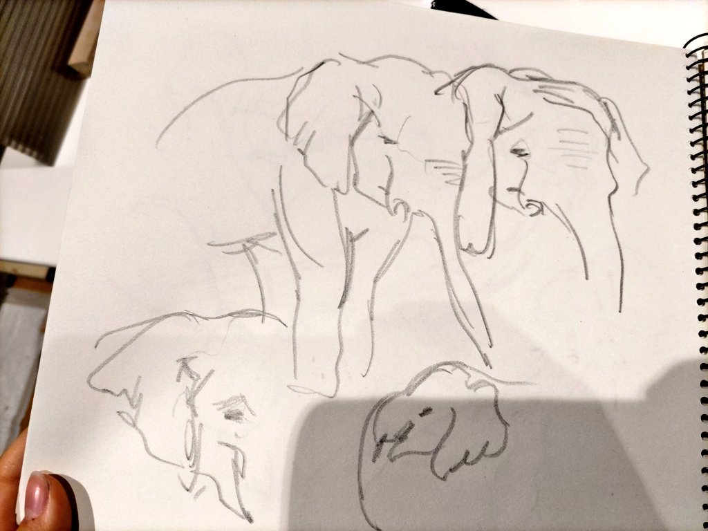 動物園の方はあんまり書けなかった 