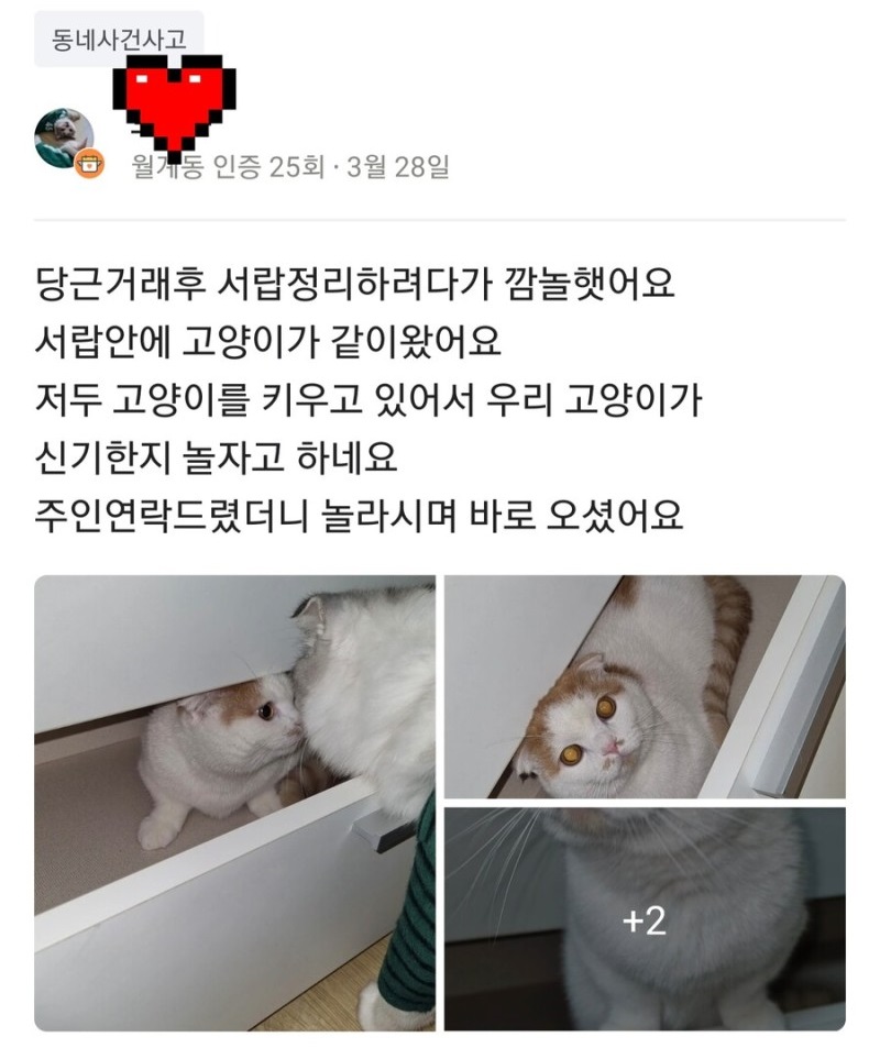 bighwanjang1's tweet photo. "집���야 나 판 거 아니지...?" https://t.co/Ib0NcJuT0r