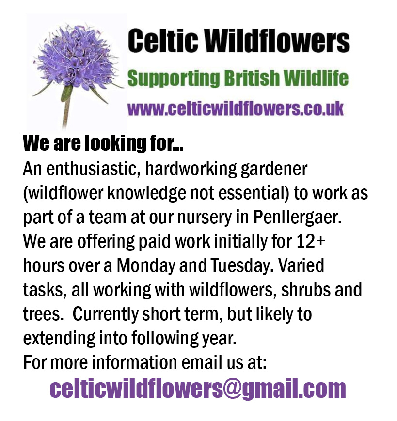 CelticWildflow1's tweet photo. For anyone interested in some part-time work.  👍🏻 https://t.co/0Bv60Dpcp7