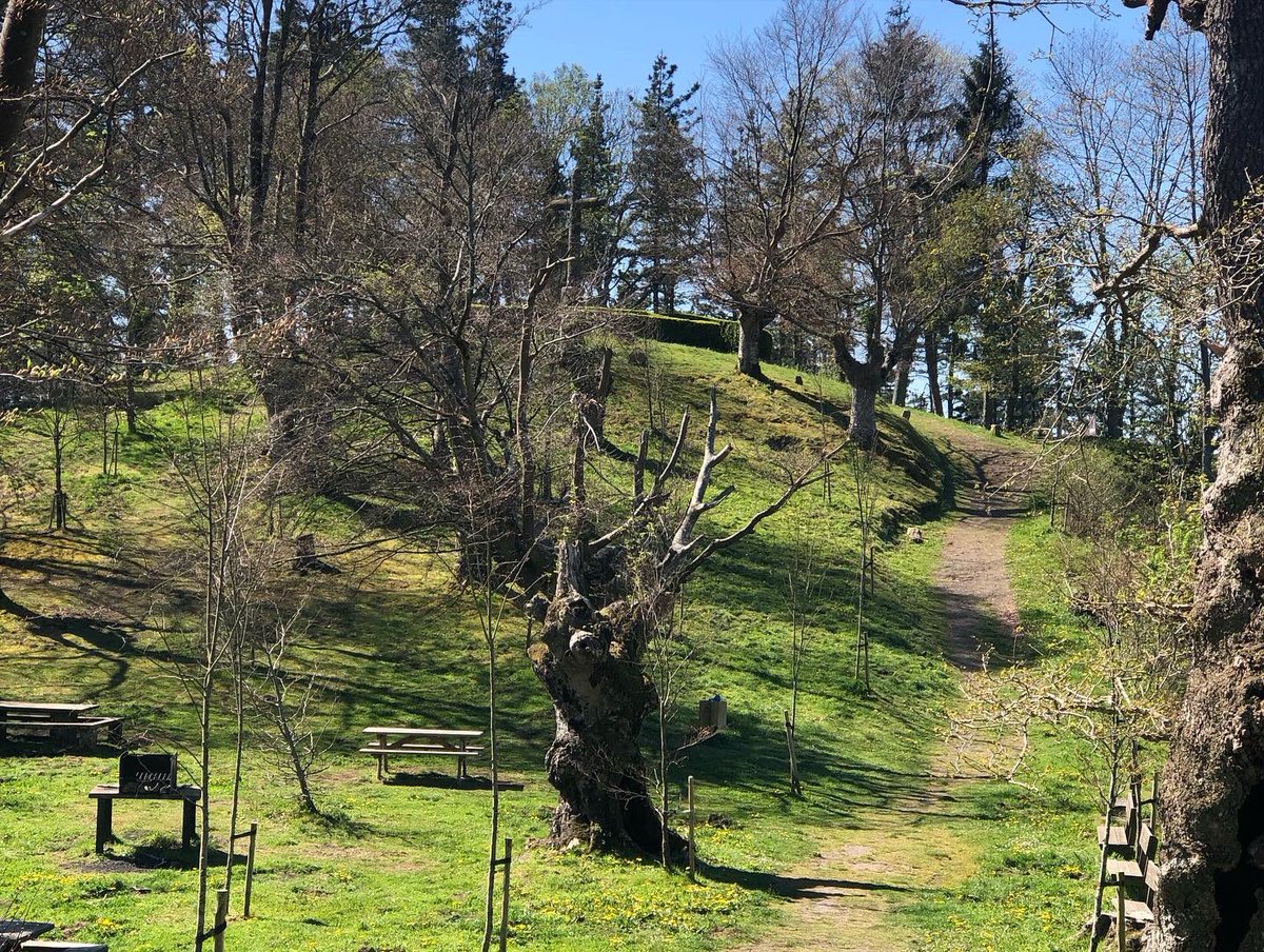 ToniBarreraEsco's tweet image. Migdia del #DissabteSant amb temps assolellat i dia esplèndid des de la Creu d’#Arrate (Arrateko Kurutzia) #Eibar #Guipúscoa #Gipuzkoa #PaísBasc #Euskadi. Al matí, però, hi havia molta boira.