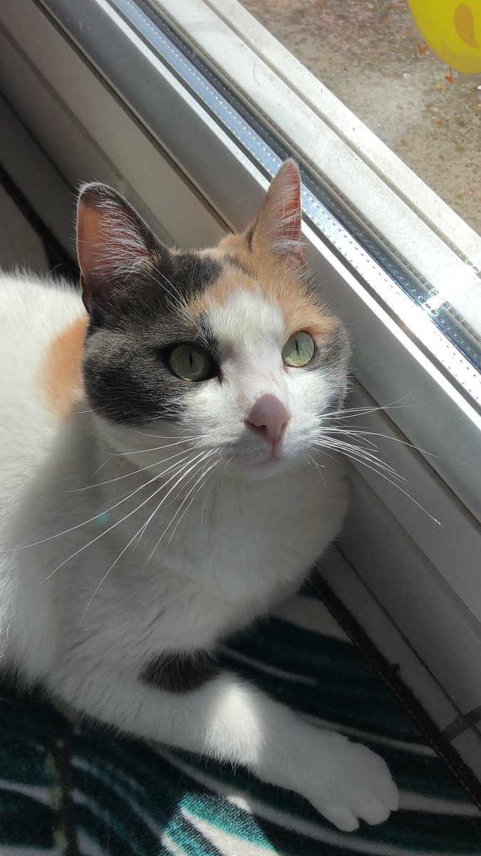 🏃🏻Julien Bocquet🏃🏻‍♂️ tweet media