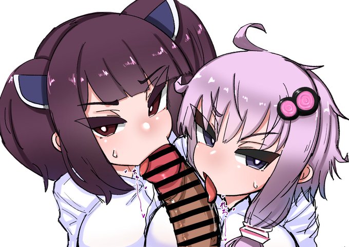 今日のコッショリ 