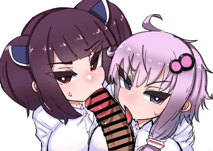 今日のコッショリ 
