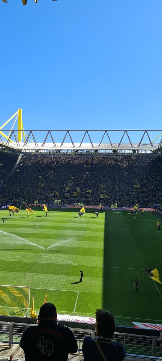 robertstreppel's tweet photo. Next step, lekker hoor, #BVBwol https://t.co/KiMr1Y0Sq4