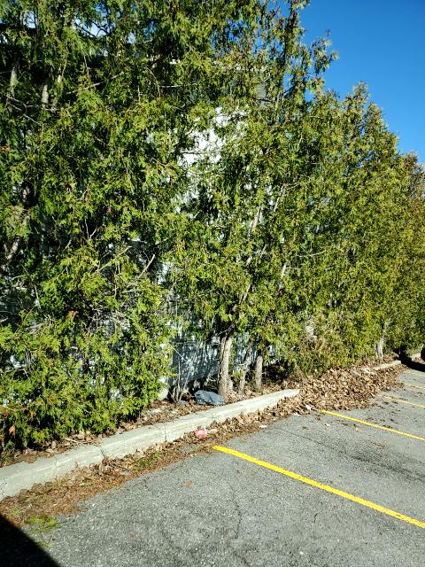 YouDontKnowJak's tweet photo. Apple314 found #ethereum in a Blue vault at this location! Join me playing #coinhuntworld, It's awesome! https://t.co/lSTigcGcsp #cryptocurrency #397804 https://t.co/ouU8MFI10M