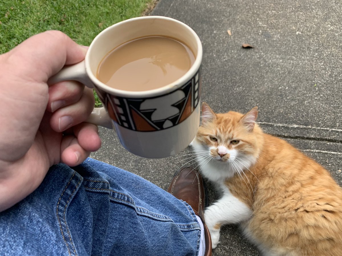 The Bishop tweet media