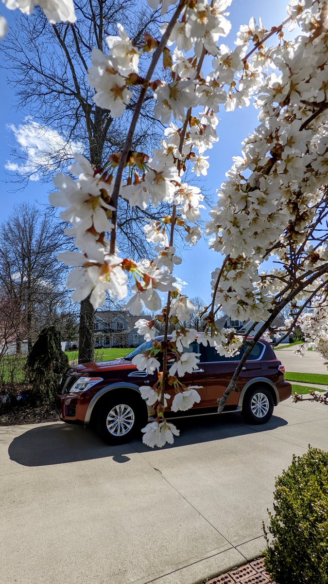 popong's tweet image. #ts_tours_services #elon_musk