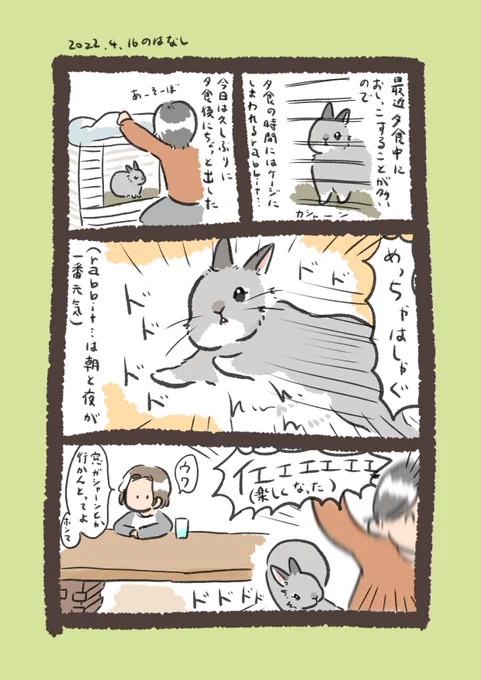 今日のrabbit…
#うさぎのいる生活 