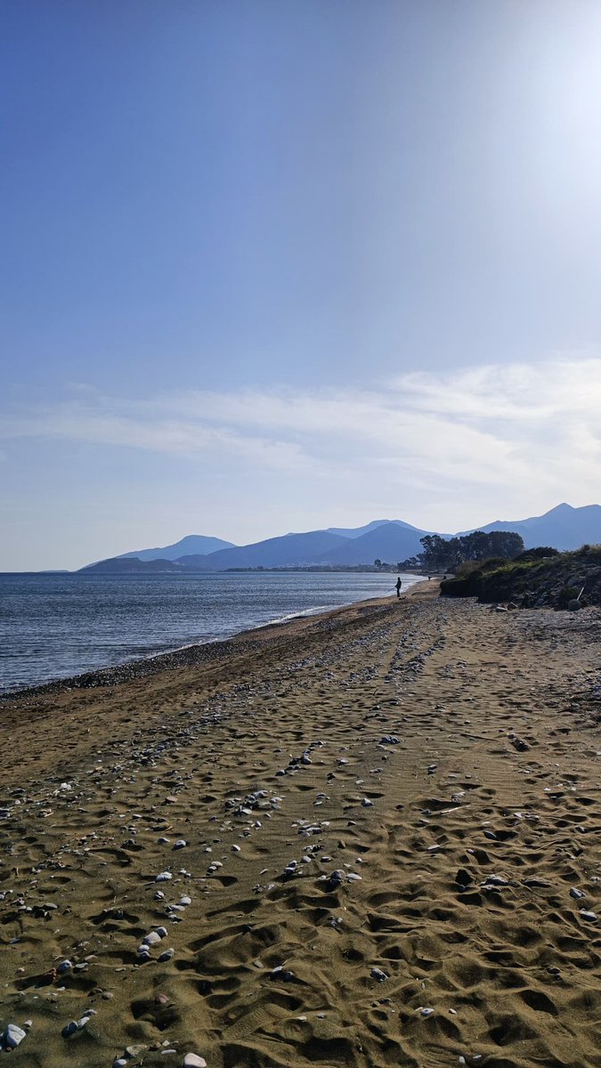 DatcaVeysi's tweet photo. #Datça ya yaz geldi güzel güneş var #marmaris #bodrum https://t.co/iz9HHmgsSY