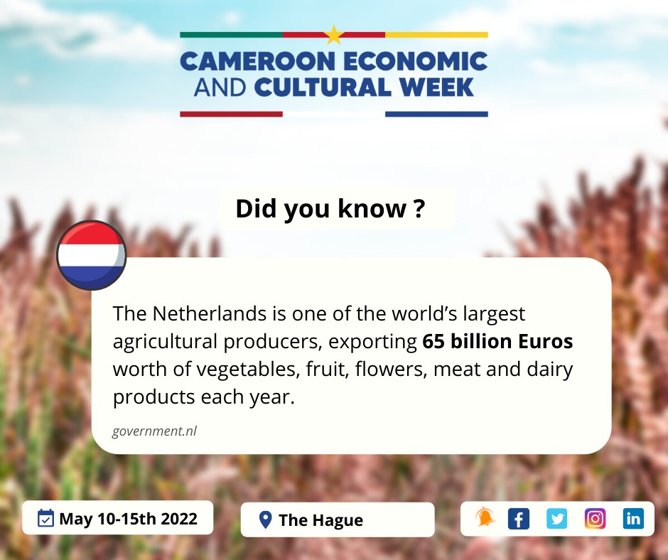 BertrandFoffe's tweet photo. La liste des entreprises #camerounaises qui prendront part à la semaine économique et culturelle s'allonge. 

Ce sera l'occasion de connecter le maximum d'entreprises agrobusiness locales avec des partenaires, fournisseurs et investisseurs Néerlandais. 

@CECWHague https://t.co/kFY58cBTb6