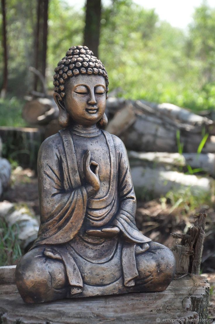 _Tao_Zen_'s tweet photo. Good morning. Wish you an excellent day &amp; weekend. Blessings to all of you. #PositiveMind #Peace #PositiveThoughts #StaySafe #InnerPeace #PazInterior #TransformacionInterna #SabiduriaInterior #InnerWisdom #InnerTransformation #Meditation #Meditate #Meditacion #Buddha #Buddhism https://t.co/tCw5hLYrkM
