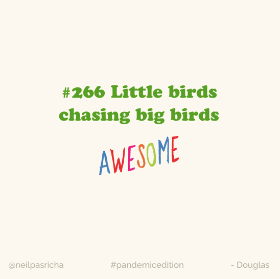 FergDevins's tweet image. nature&apos;s banter - @NeilPasricha and his #pandemicedition of all things #awesome