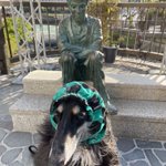 shinsanのツイート画像