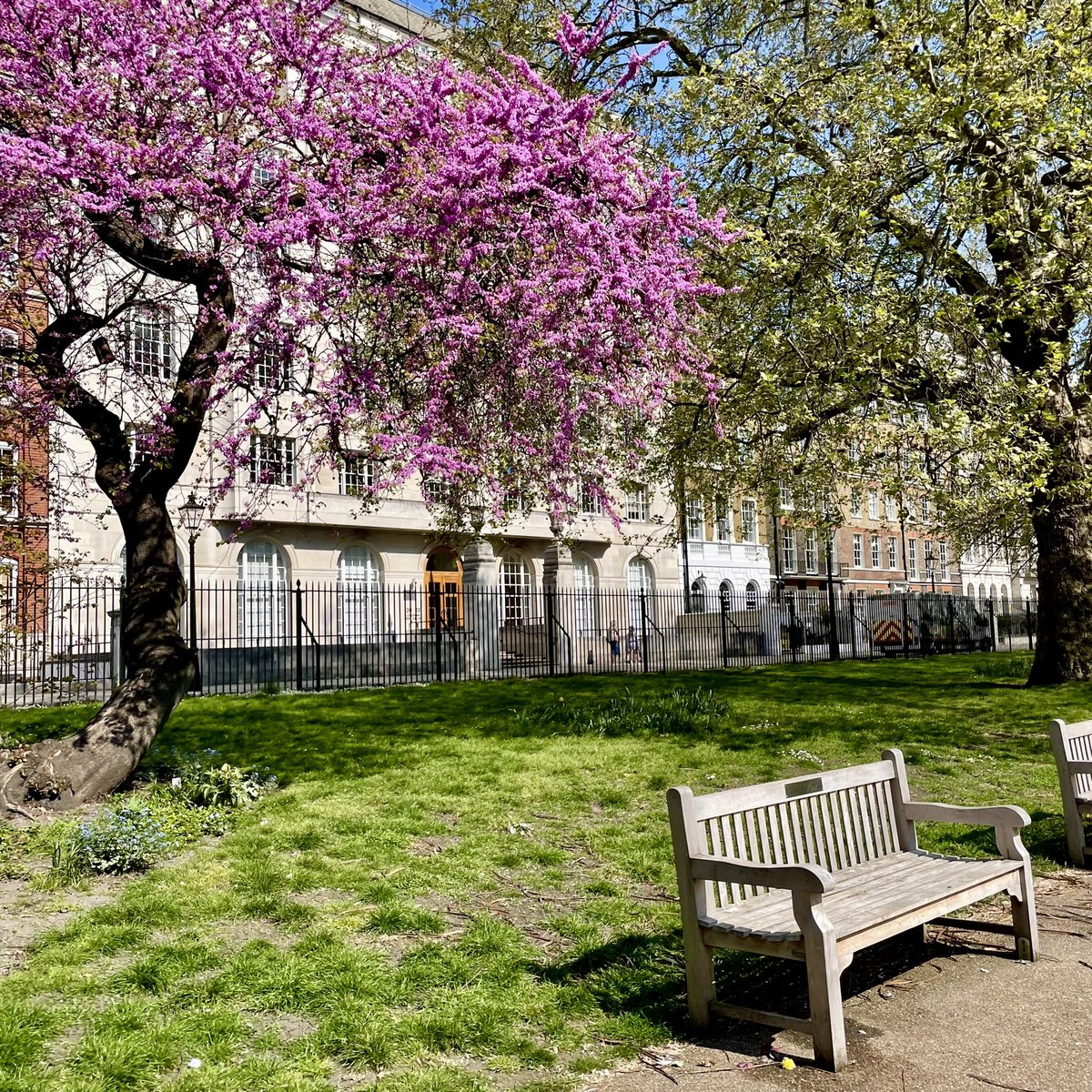 prestigeapts's tweet photo. Take advantage of the green space of Lincoln's Inn Fields while you're in Holborn, London on this lovely Sunny Saturday. Across the street, you can visit Sir John Soane's House, a museum dedicated to the life and work of the famous architect. A must-see! https://t.co/w8336qFWjA