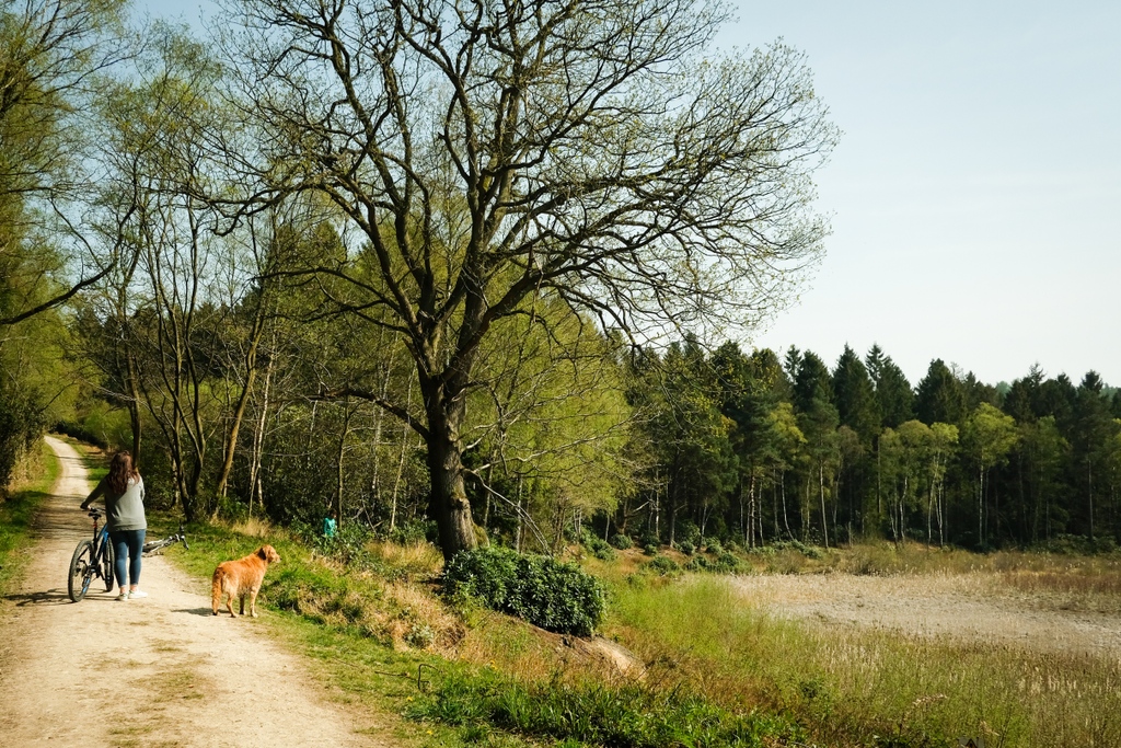 SpaYorkshire's tweet photo. Life's pleasures are often so close to home, we forget to appreciate their beauty. 

Reconnect with nature by walking one of our recommended country walks, routes, and trails. The perfect way to ground yourself and calm the mind.

#YorkshireSpaRetreat  #YorkshireTrails https://t.co/pU8vmPOkKK