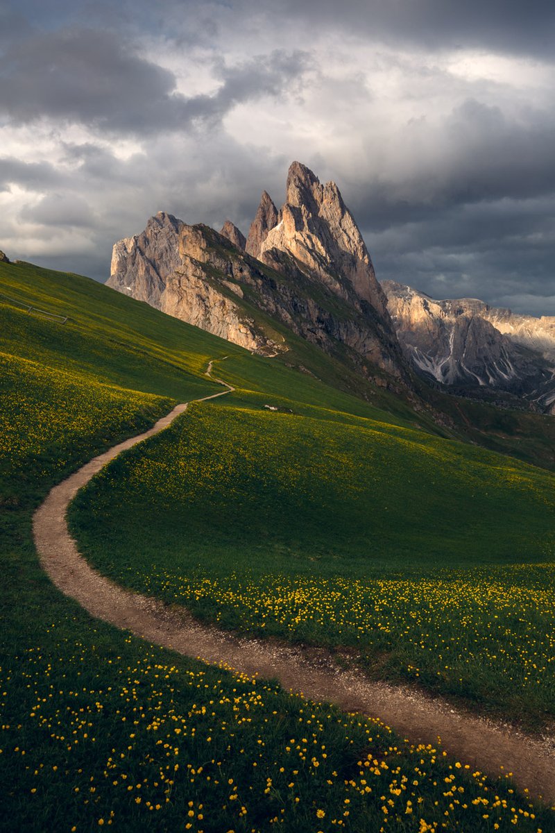 MarcoGrassi.eth tweet media